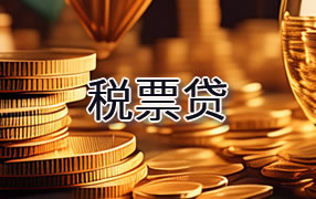 泸州税票贷